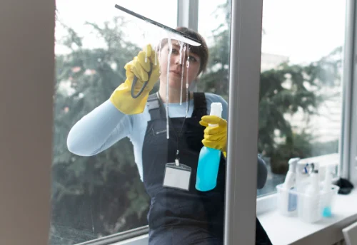 Nettoyage de vitres intérieures et extérieures à Lussac-les-Églises